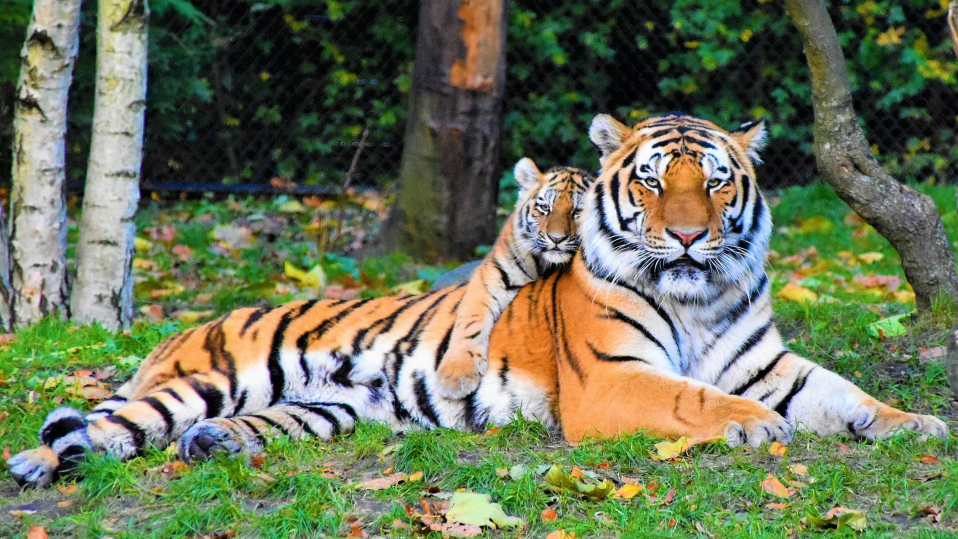 1N/2D Weekend Sundarban Tour