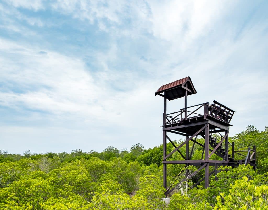 Burirdabri Watch Tower