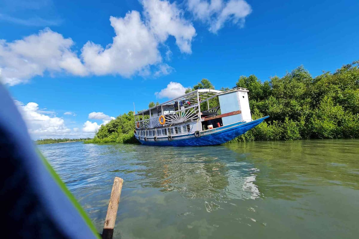 Sundarban river boating with mangrove forest