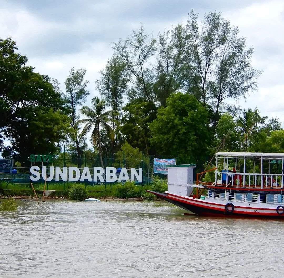 Mangrove